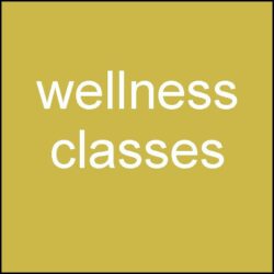 Wellness Classes